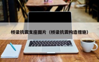 桥梁抗震支座图片（桥梁抗震构造措施）