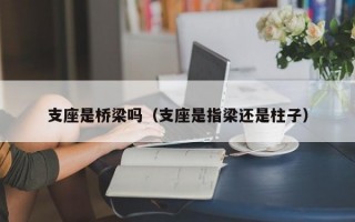 支座是桥梁吗（支座是指梁还是柱子）