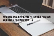 桥梁钢筋混凝土块支座图片（混凝土桥梁结构实用精细化分析与配筋设计）